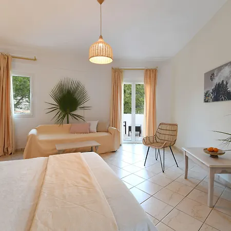 Asteras Paradise 4* Kostos